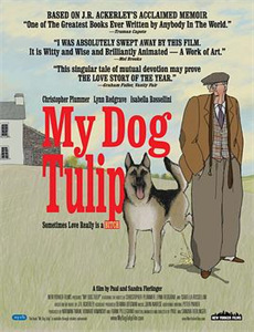 闪婚后我成了首富的掌上明珠