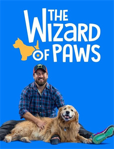 天命破光师天命龙吟