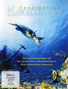 开局创造末世武姬